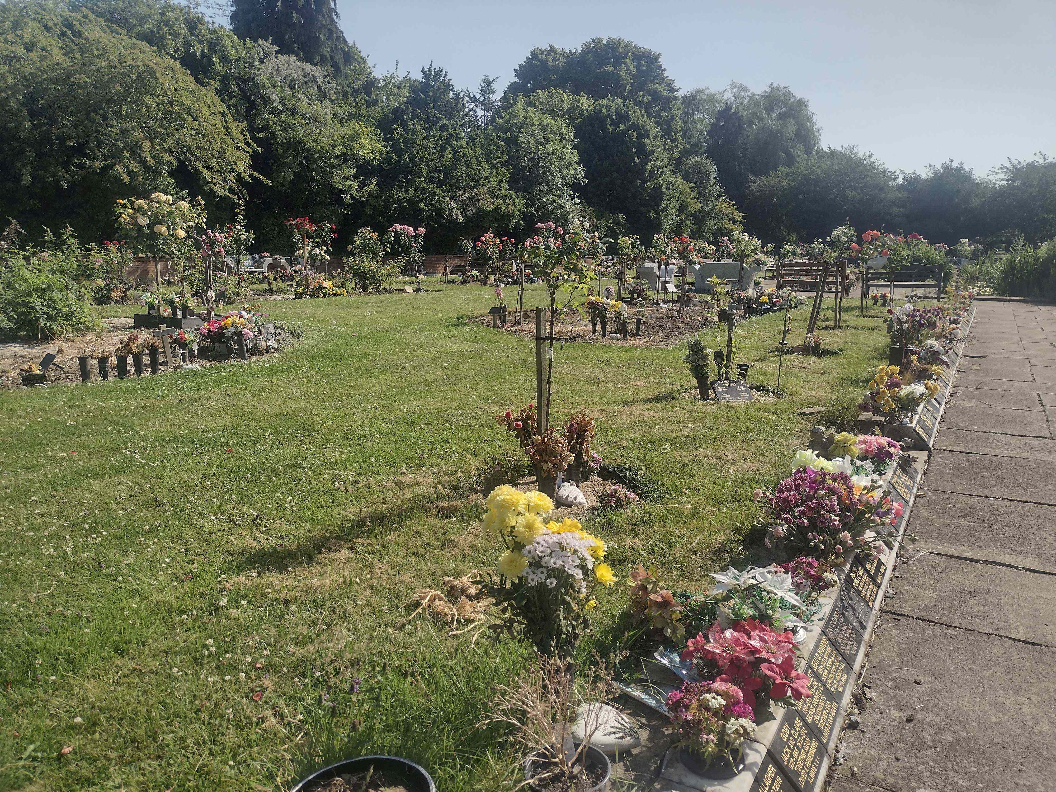 Chanterlands Crematorium Sunken gardens rose trees in summer