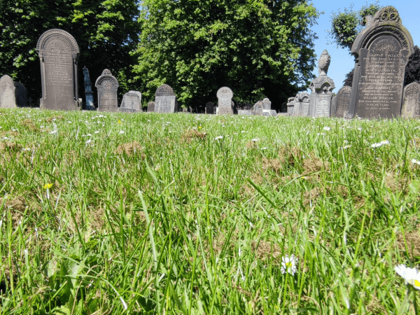 Grass and graves