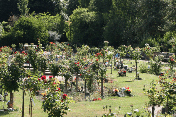 Chanterlands Crematorium grounds