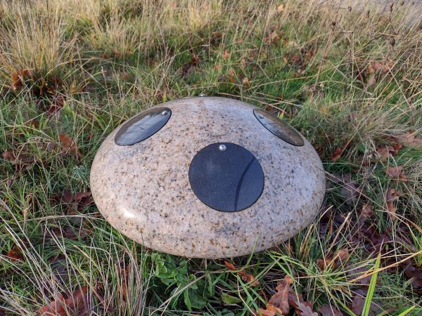 Baby Cemetery Mushroom Memorial